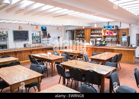 at solar panel roof restaurant at  CAT ,Machynlleth,Powys,Wales,U.K. Stock Photo