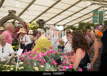 East Molesey, UK. 30th June, 2015. Visitors in the marquee at the RHS Hampton Court Palace Flower Show on its 25th Anniversary. Credit:  Keith Larby/Alamy Live News Stock Photo