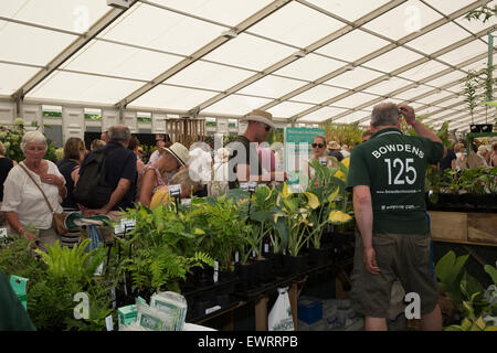 East Molesey, UK. 30th June, 2015. Visitors in the marquee at the RHS Hampton Court Palace Flower Show on its 25th Anniversary. Credit:  Keith Larby/Alamy Live News Stock Photo