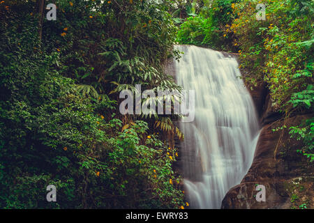 Waterfall on Sri Lanka,Horton Place Stock Photo