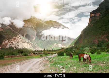 Trekking in Nepal Stock Photo