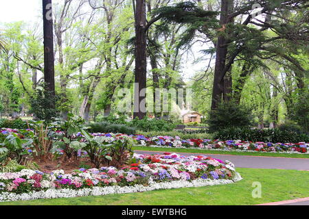 Avenue of trees and flower patches in Fitzroy Garden Melbourne Victoria Australia Stock Photo