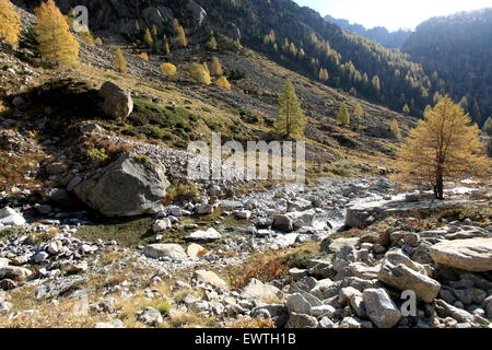 The Gordolasque valley in the Mercantour national park, Alpes- Maritimes, France Stock Photo