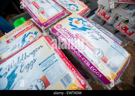 SOUTH AFRICA- Eggs from a market in Pretoria Stock Photo