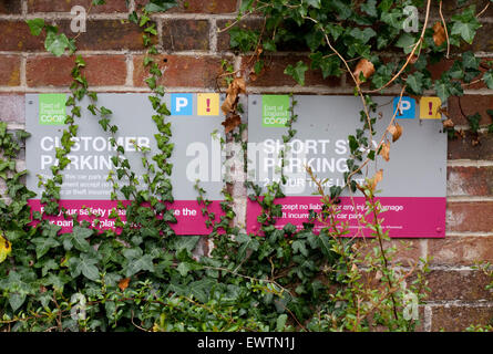 Signs in a Co-op supermarket car park  overgrown with ivy Stock Photo