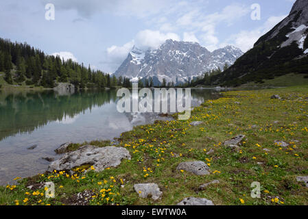 Zugspitze massif reflecting in mountain lake Seebensee, Austria Stock ...