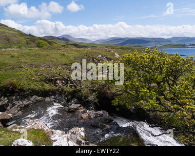 Eas Fors lower waterfall  Allt an Eas Fors Isle of Mull Argyll and Bute Scotland the final falls plunge 100ft over cliffs into Loch Tuarth Stock Photo