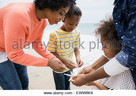 Family gathering seashells on beach