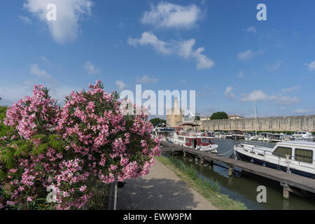 Marina, Aigues-Mortes, Provence, Camargue, Languedoc-Roussillon, France Avignon, Bouche du Rhone, France Stock Photo