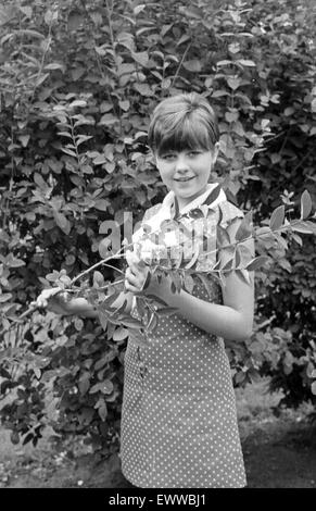 Deutsche Schlagersängerin Gaby Baginsky, Deutschland 1960er Jahre. German schlager singer Gaby Baginsky, Germany 1960s. 24x36Neg285 Stock Photo