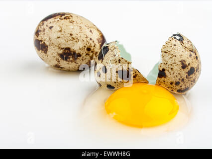 Two broken quail eggs on white background, close up Stock Photo