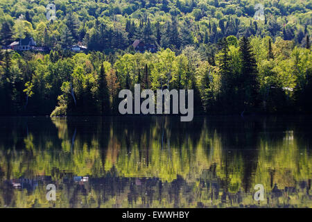 Spring Morning in Laurentides Quebec-Canada Stock Photo