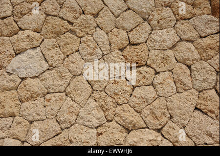 Close up of wall stones with mollusc tracks Stock Photo