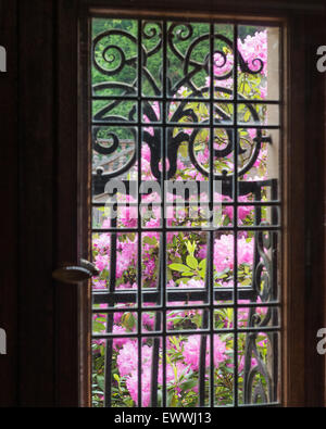 View through panelled window with ornate bars Stock Photo