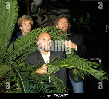 BEE GEES pop group about 1980. From left Robin, Maurice,Barry Stock Photo
