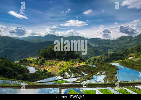 Amazing panorama view of rice terraces fields in Ifugao province mountains under cloudy blue sky. Banaue, Philippines UNESCO her Stock Photo