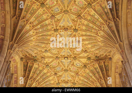 The ornately decorated Gothic fan vaulted ceiling of Sherborne Abbey with its colourful designs and symbols. Dorset, England, United Kingdom. Stock Photo
