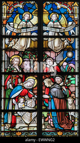 Stained glass window depicting a Nativity Scene at Christmas in the Church of Stabroek, Belgium Stock Photo