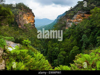 View from the top of Leura Falls - Blue Mountains National Park - NSW - Australia Stock Photo