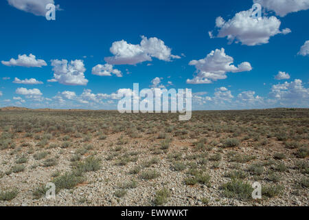 Khalagadi Transfrontier Park, South Africa - Open African landscape at midday Stock Photo