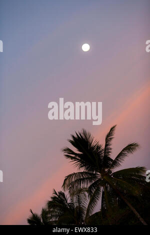 Full moon rising over the palm trees of Playa Tamarindo in Guanacaste, Costa Rica. The sky is colorful at sunset Stock Photo