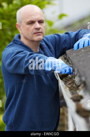 cleaning dirty house gutter from leaves and needles. banner with copy ...