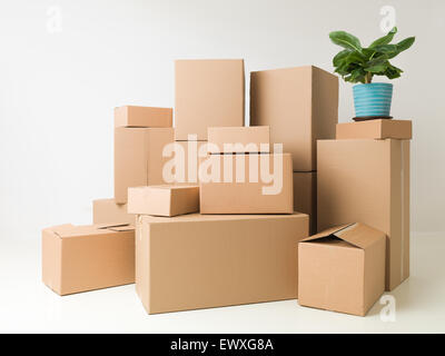 moving boxes stacked in empty room ready for movers Stock Photo