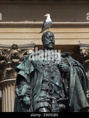A gull sits upon the head of a statue of Edward V11 outside the Victoria Rooms in Bristol Stock Photo