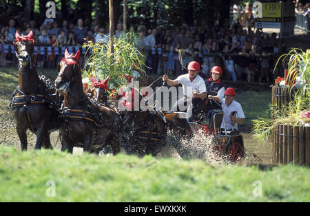 DEU, Germany, Aachen, CHIO Aachen, cross-country race with four-horse-coaches at the Aachen forrest.  DEU, Deutschland, Aachen,  Stock Photo