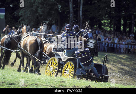 DEU, Germany, Aachen, CHIO Aachen, cross-country race with four-horse-coaches at the Aachen forrest.  DEU, Deutschland, Aachen,  Stock Photo