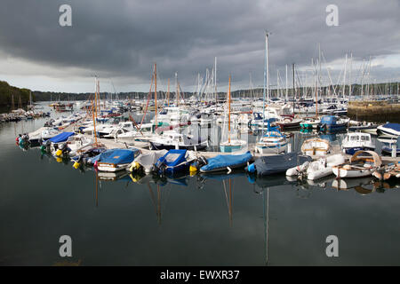 Yachts moored in marina, Falmouth, Cornwall, England, UK Stock Photo