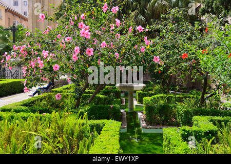 Formal garden of Malaga Cathedral (La Manquita - The One Armed Lady) in old town of Malaga, Andalusia, Southern Spain Stock Photo