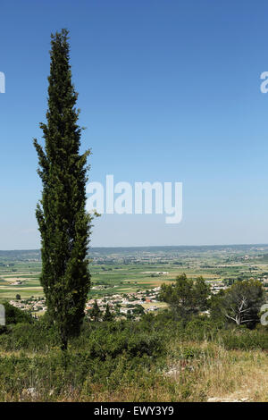 A cypress tree grows on the Roc de Gachone near Calvisson, France. The hill overlooks the Vaunage Plain. Stock Photo