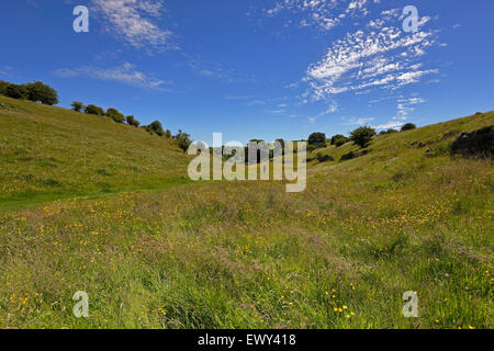 Walkers in Upper Lathkill Dale dry valley, Peak District National Park, Derbyshire, England, UK. Stock Photo