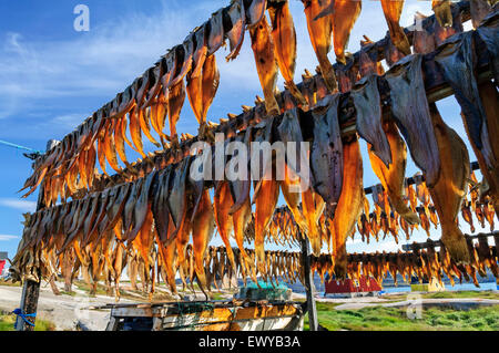 Dried fish in Rodebay settlement, Greenland - Drying is a method of food preservation that works by removing water from the food Stock Photo