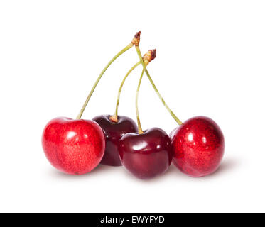 Four red juicy sweet cherries isolated on white background Stock Photo