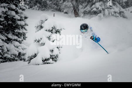 Man Deep powder skiing in mountains, Austria Stock Photo