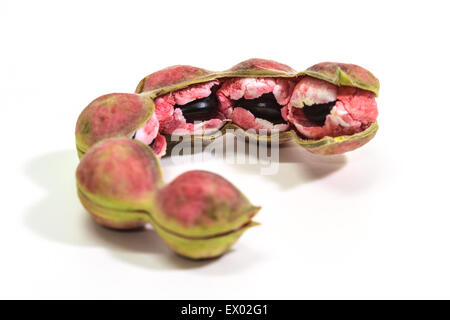 Manila tamarind fruit isolated on white background Stock Photo