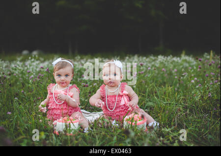 Portrait of baby twin sisters sitting in wildflower meadow eating birthday cake Stock Photo