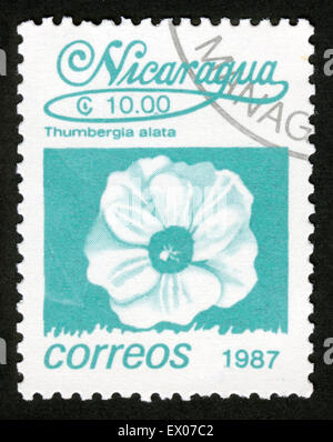 Nicaragua,1987, flowers,postage stamp,Postage stamp from Nicaragua depicting Black-eyed Susan vine (Thumbergia alata) Stock Photo