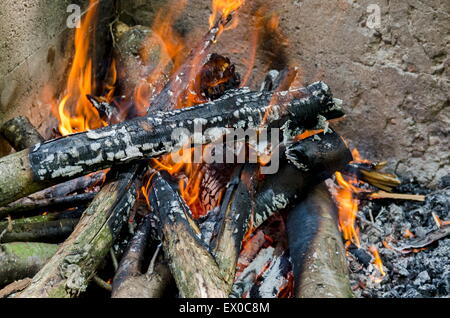 Open fire in the fireplace, prepare coal for  barbeque grill Stock Photo