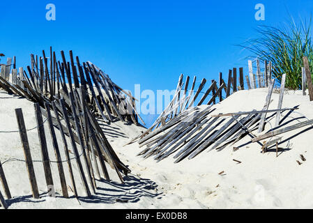 Weathered wind fence along a beach path helps fight wind drift and dune erosion, Truro, Cape Cod, Massachusetts, USA Stock Photo