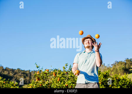 Cheerful young man juggling oranges on citrus farm Stock Photo