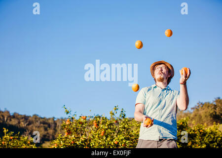 Cheerful young man juggling oranges on citrus farm Stock Photo