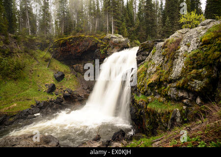 Beautiful Moose Falls in evening light at Yellowstone National Park - Wyoming. Stock Photo