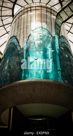 Aquadom lift aquarium at Radisson Blu Hotel in Berlin-Mitte Stock Photo