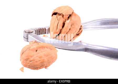 Macro shot of a nut being cracked by a nut cracker on white Stock Photo