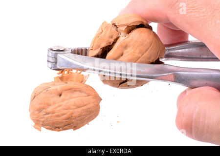 Close up of a hand with a nutcracker breaking a walnut on white Stock Photo