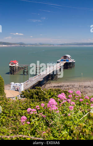 Mumbles Pier and Lifeboat Station and view over Swansea Bay to city Swansea Abertawe South Wales UK Stock Photo