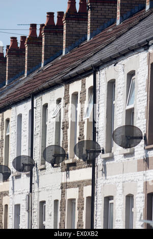 TV satellite dishes on fronts exteriors of terraced houses Cardiff Wales UK Stock Photo